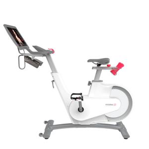 Купить Велотренажер Yesoul BV1-W PLUS в Обь 
